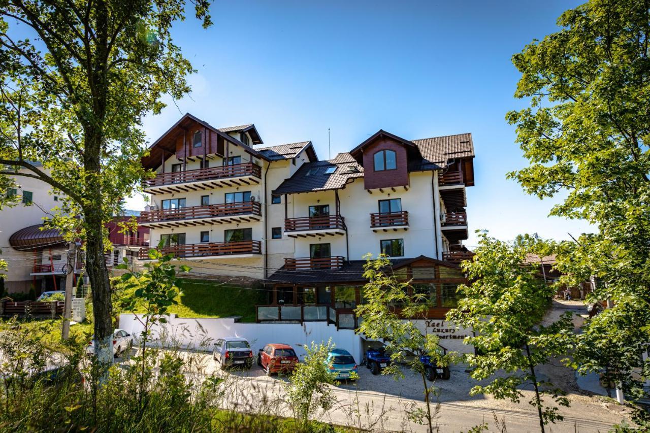 Yael Luxury Apartments 2 Buşteni Buitenkant foto