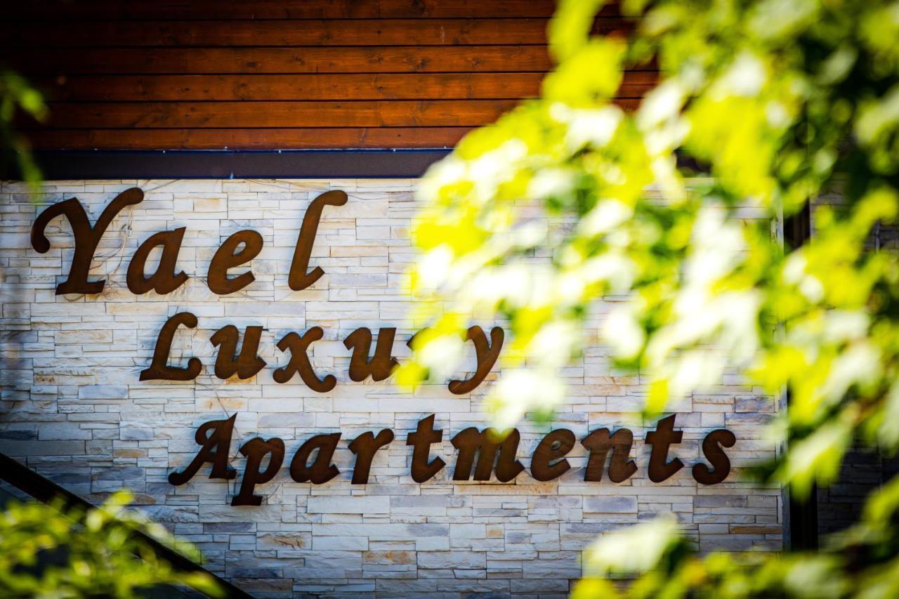 Yael Luxury Apartments 2 Buşteni Buitenkant foto