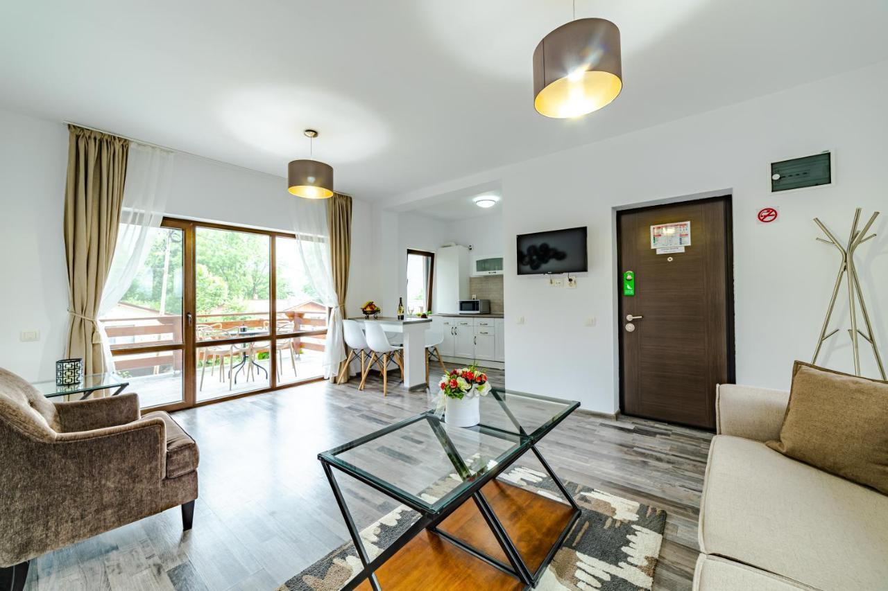 Yael Luxury Apartments 2 Buşteni Buitenkant foto