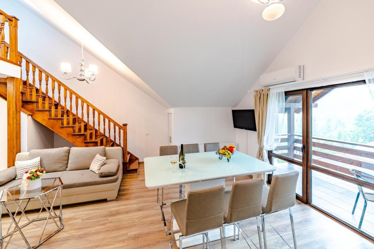 Yael Luxury Apartments 2 Buşteni Buitenkant foto
