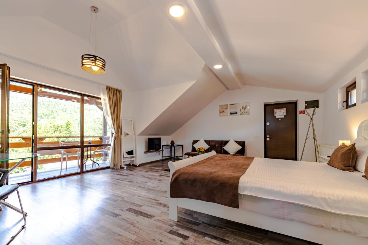 Yael Luxury Apartments 2 Buşteni Buitenkant foto