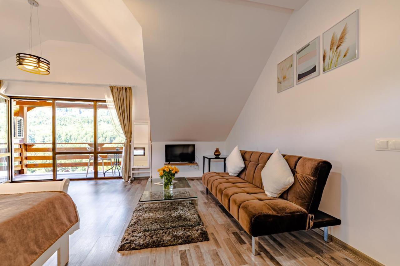 Yael Luxury Apartments 2 Buşteni Buitenkant foto