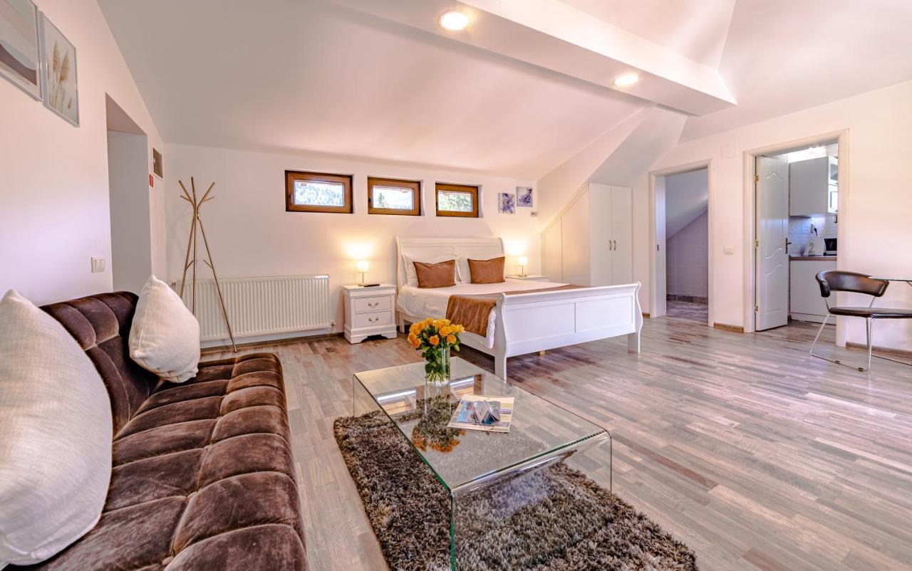 Yael Luxury Apartments 2 Buşteni Buitenkant foto