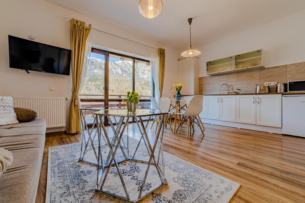 Yael Luxury Apartments 2 Buşteni Buitenkant foto
