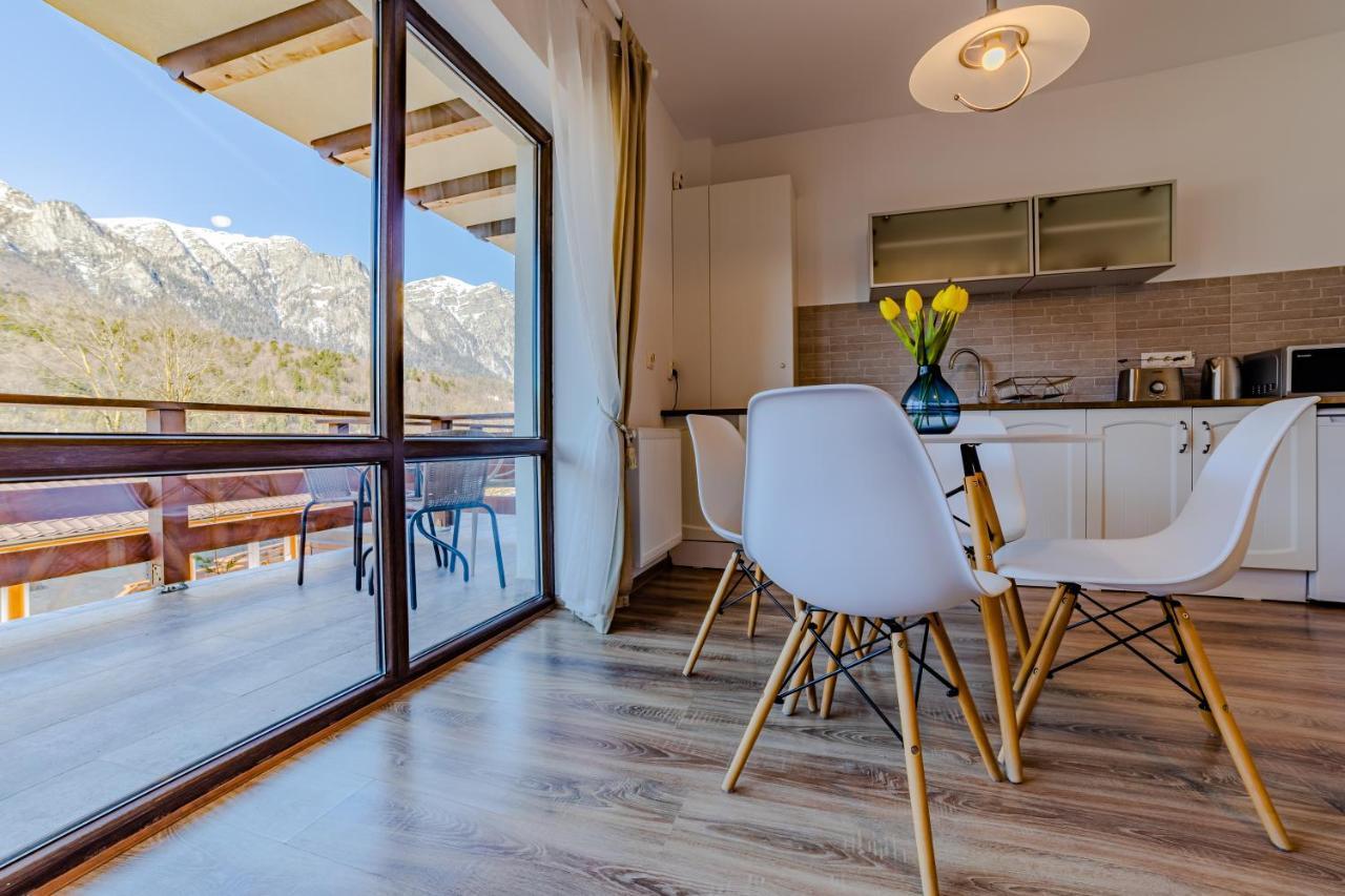 Yael Luxury Apartments 2 Buşteni Buitenkant foto